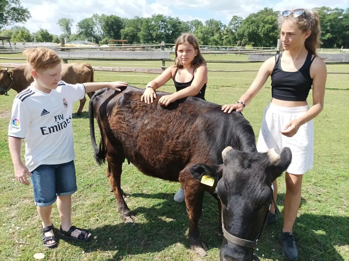 Villa Zoopark Zelcin Mělník Exterior foto