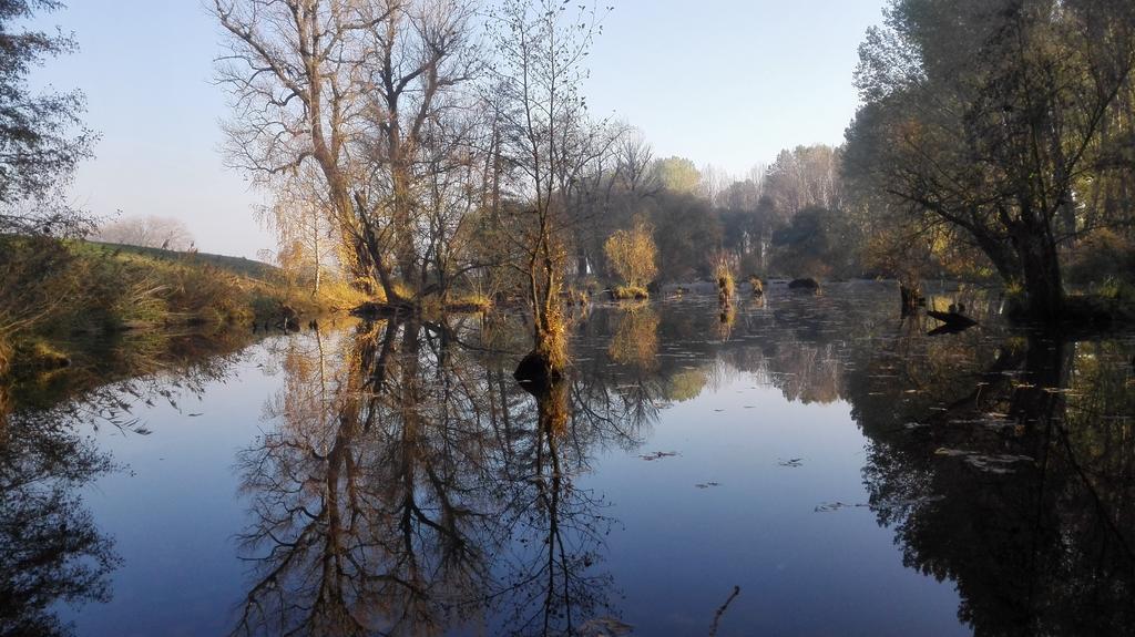 Villa Zoopark Zelcin Mělník Exterior foto