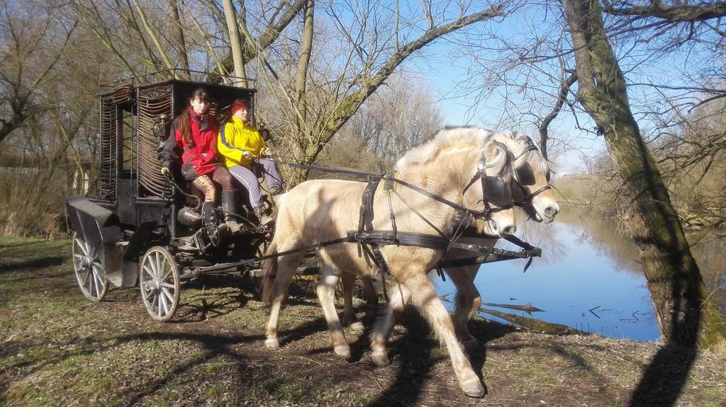 Villa Zoopark Zelcin Mělník Exterior foto