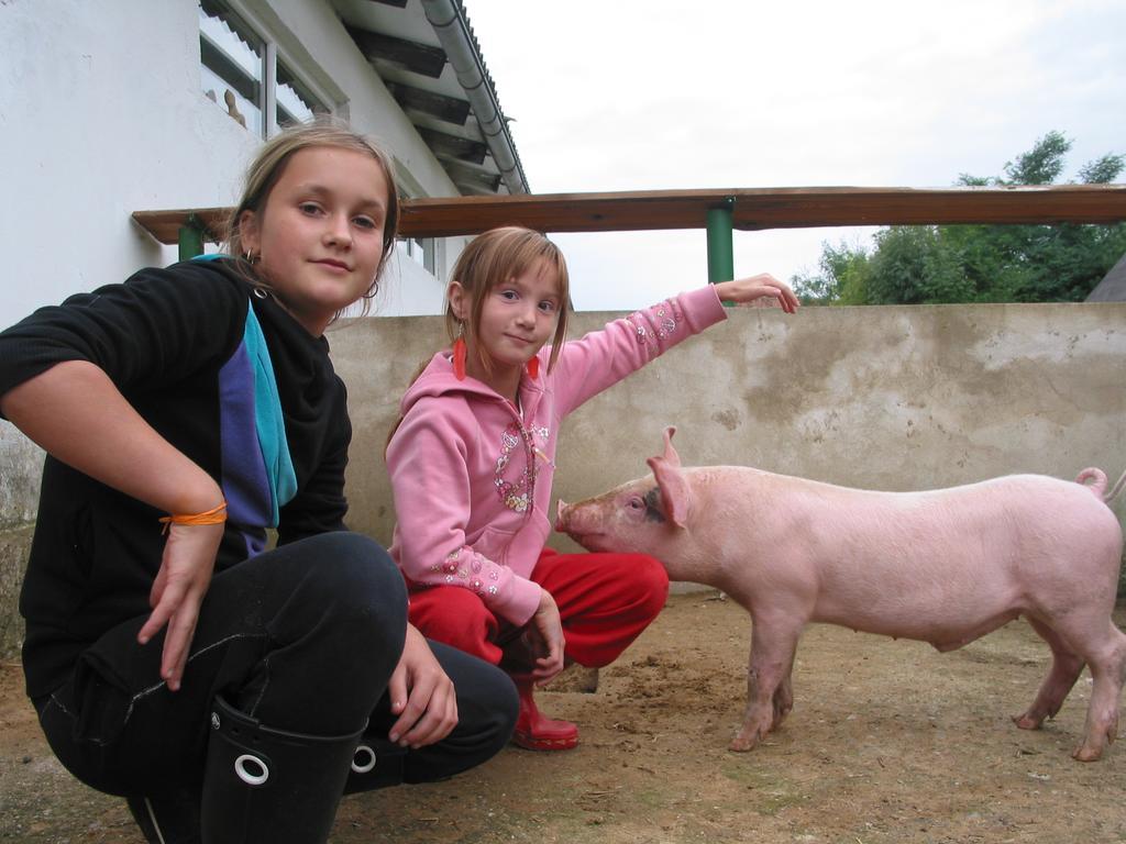 Villa Zoopark Zelcin Mělník Exterior foto